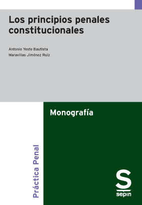 Los principios penales constitucionales