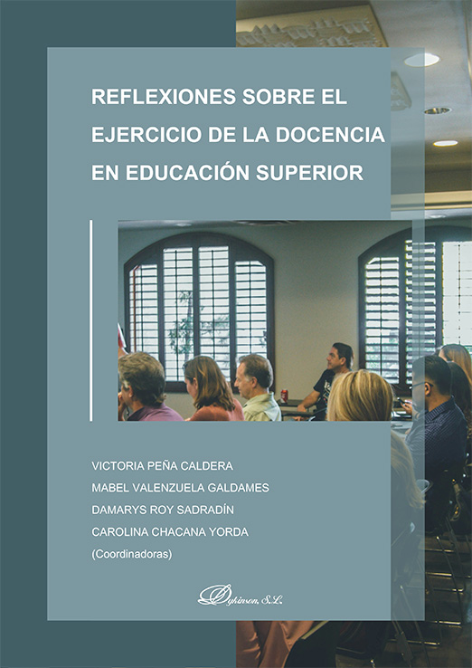 Reflexiones sobre el ejercicio de la docencia en Educación Superior