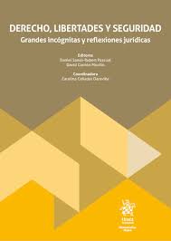 Derecho, libertades y seguridad. Grandes incógnitas y reflexiones jurídicas