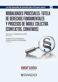 Modalidades procesales: tutela de derechos fundamentales y procesos de índole colectiva