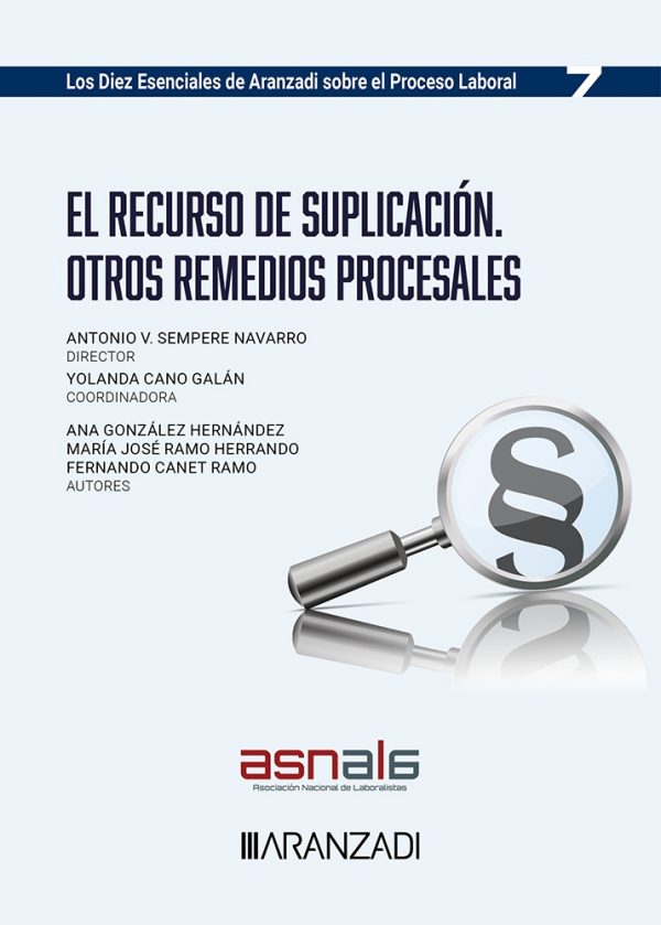 El Recurso de Suplicación. Otros remedios procesales