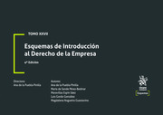 Tomo XXVII. Esquemas de introducción al derecho de la empresa