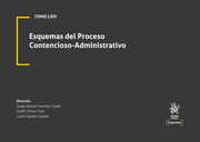 Tomo LXIV. Esquemas del Proceso Contencioso Administrativo