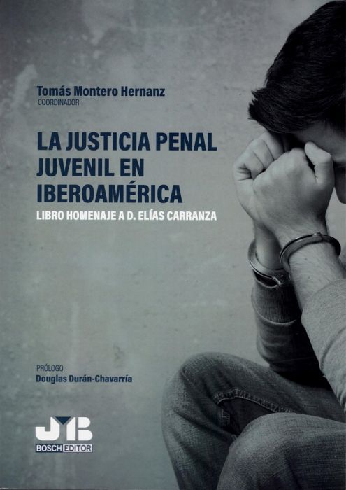 La justicia penal juvenil en iberoamérica. Libro homenaje a D. Elías Carranza