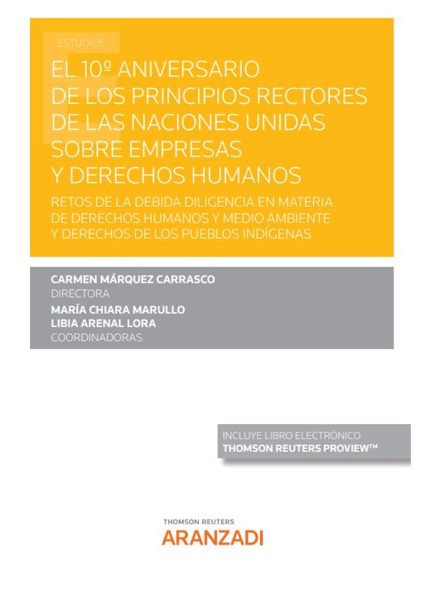 El 10º Aniversario de los Principios Rectores de las Naciones Unidas sobre empresas y derechos humanos