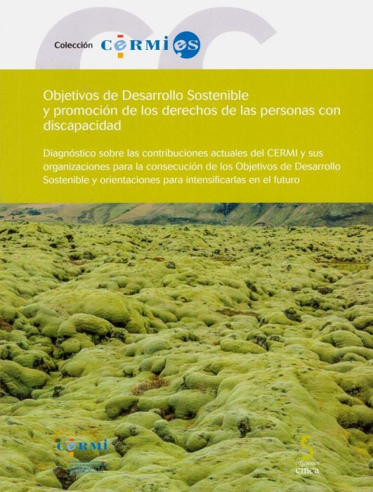 Objetivos de Desarrollo Sostenible y Promoción de los Derechos de las Personas con Discapacidad