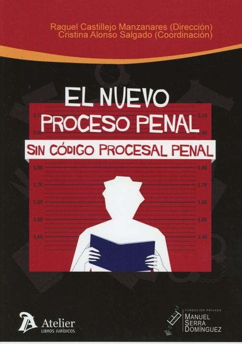 Nuevo proceso penal sin código procesal penal