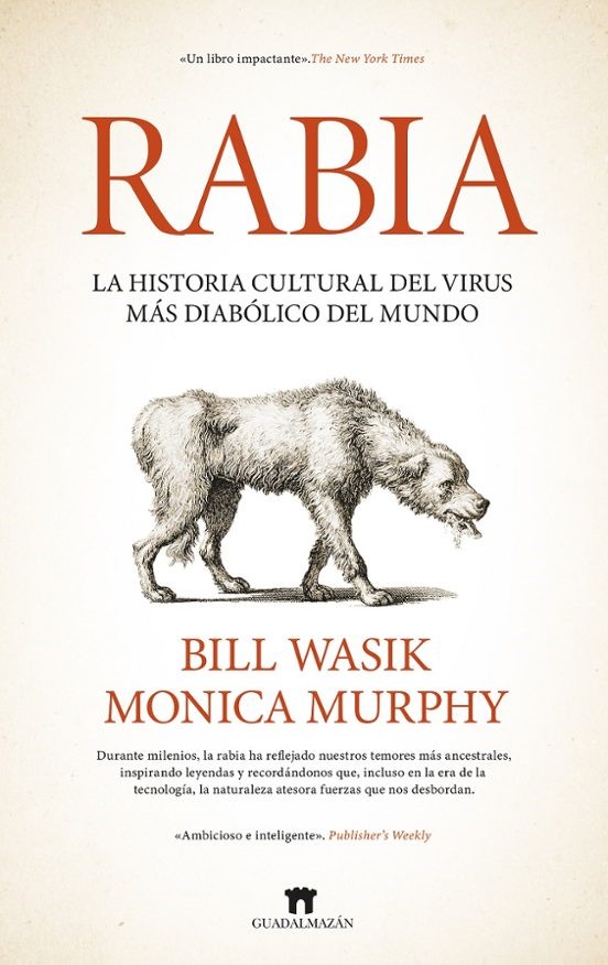 Rabia