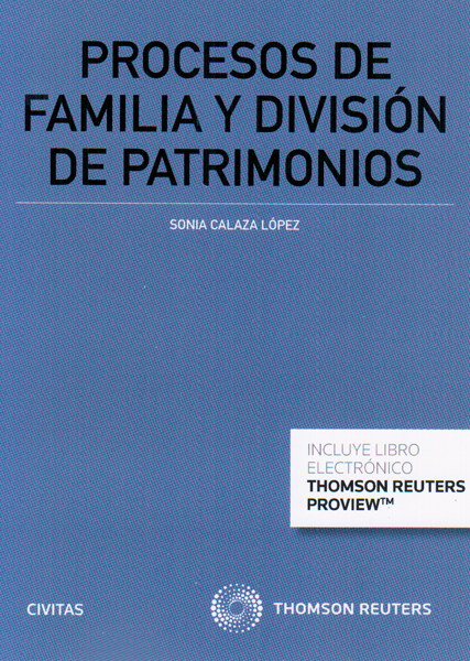 Procesos de familia y división de patrimonios