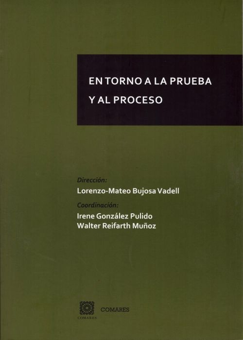 En torno a la prueba y al proceso