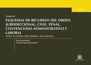 Tomo XL. Esquemas de recursos del orden jurisdiccional, civil, penal, contencioso-administrativo y laboral