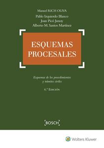 Esquemas procesales