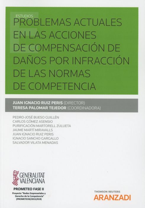 Problemas Actuales en las Acciones de Compensación de Daños por Infracción de las Normas de Competencia