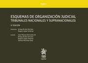 Esquemas. Tomo I. Esquemas de Organización judicial