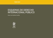 Tomo XLVI. Esquemas de Derecho Internacional Público