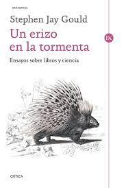 Un erizo en la tormenta