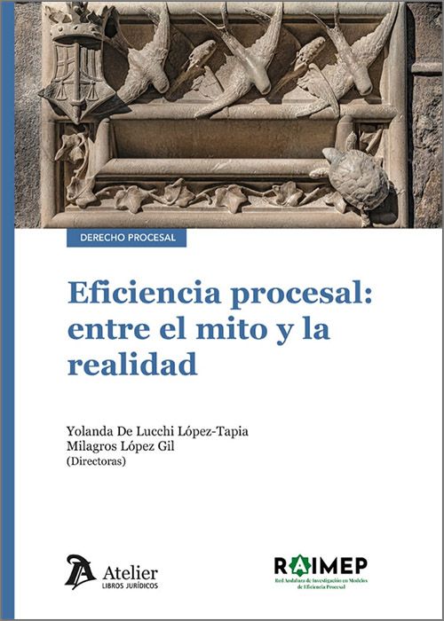 Eficiencia procesal: entre el mito y la realidad