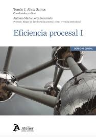 Eficiencia Procesal I