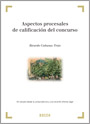 Aspectos procesales de calificación del concurso