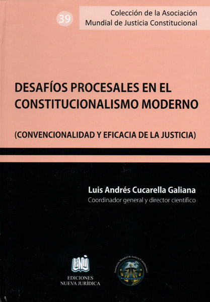Desafíos procesales en el constitucionalismo moderno