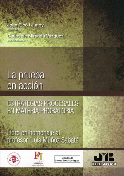 La prueba en acción. Estrategias procesales en materia probatoria