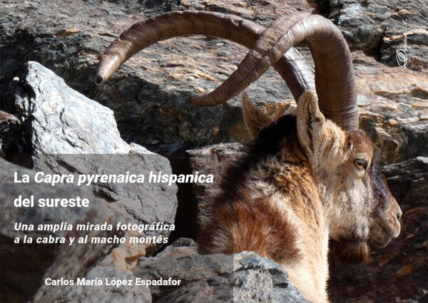 La Capra pyrenaica hispanica del sureste